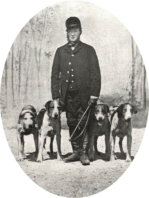 Le piqueur du comte d'Osmond avec des Foxhounds de l'équipage en 1864 - Le Sport universel illustré